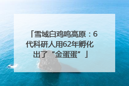 雪域白鸡鸣高原：6代科研人用62年孵化出了“金蛋蛋”