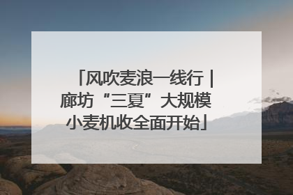 风吹麦浪一线行｜廊坊“三夏”大规模小麦机收全面开始