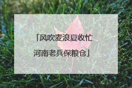 风吹麦浪夏收忙 河南老兵保粮仓