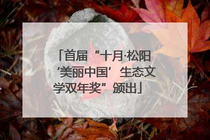 首届“十月·松阳‘美丽中国’生态文学双年奖”颁出