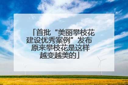 首批“美丽攀枝花建设优秀案例”发布 原来攀枝花是这样越变越美的