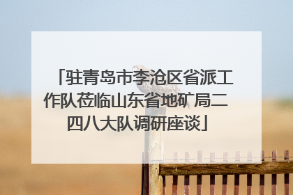 驻青岛市李沧区省派工作队莅临山东省地矿局二四八大队调研座谈