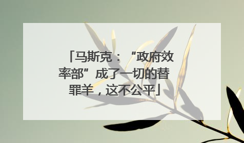 马斯克：“政府效率部”成了一切的替罪羊，这不公平