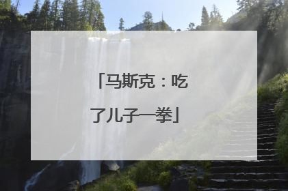 马斯克：吃了儿子一拳