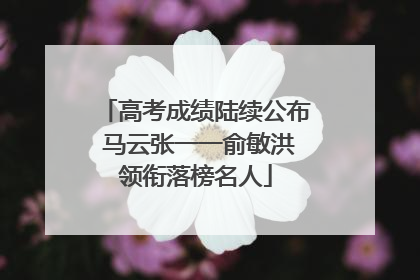 高考成绩陆续公布 马云张一一俞敏洪领衔落榜名人
