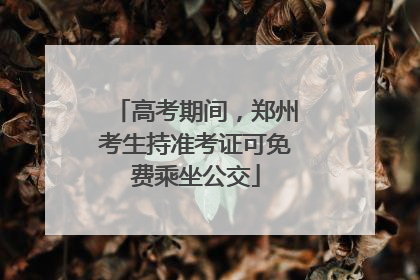 高考期间，郑州考生持准考证可免费乘坐公交