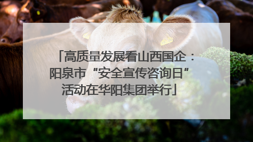 高质量发展看山西国企：阳泉市“安全宣传咨询日”活动在华阳集团举行