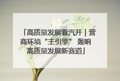 高质量发展看汽开｜营商环境“主引擎” 轰响高质量发展新赛道