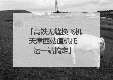 高铁无缝换飞机 天津西站值机托运一站搞定