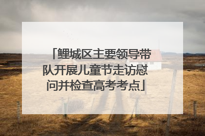 鲤城区主要领导带队开展儿童节走访慰问并检查高考考点