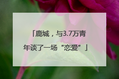 鹿城，与3.7万青年谈了一场“恋爱”