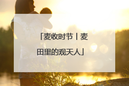 麦收时节丨麦田里的观天人