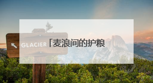 麦浪间的护粮之战！河南封丘上演农机手减损技能巅峰对决