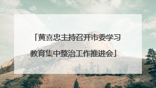 黄喜忠主持召开市委学习教育集中整治工作推进会