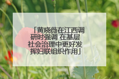 黄晓薇在江西调研时强调 在基层社会治理中更好发挥妇联组织作用