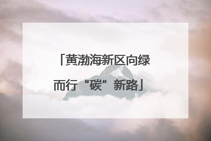 黄渤海新区向绿而行“碳”新路