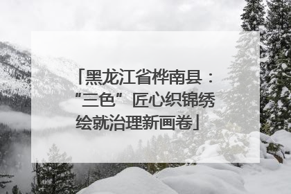 黑龙江省桦南县：“三色”匠心织锦绣 绘就治理新画卷
