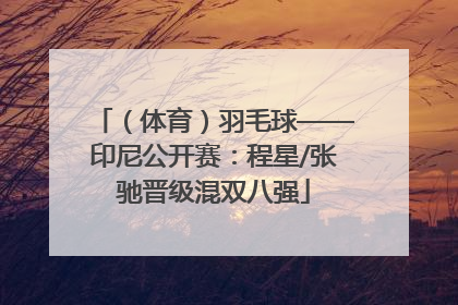 （体育）羽毛球——印尼公开赛：程星/张驰晋级混双八强