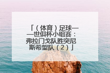 （体育）足球——世俱杯小组赛：弗拉门戈队胜突尼斯希望队（2）