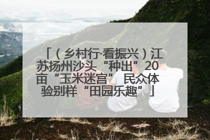 （乡村行·看振兴）江苏扬州沙头“种出”20亩“玉米迷宫” 民众体验别样“田园乐趣”