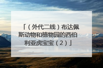 （外代二线）布达佩斯动物和植物园的西伯利亚虎宝宝（2）