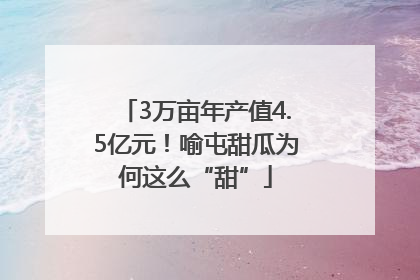 3万亩年产值4.5亿元！喻屯甜瓜为何这么“甜”
