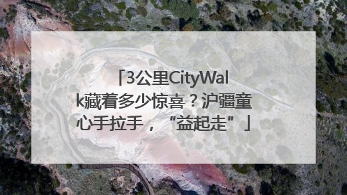 3公里CityWalk藏着多少惊喜？沪疆童心手拉手，“益起走”