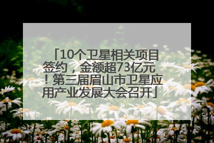 10个卫星相关项目签约，金额超73亿元！第三届眉山市卫星应用产业发展大会召开