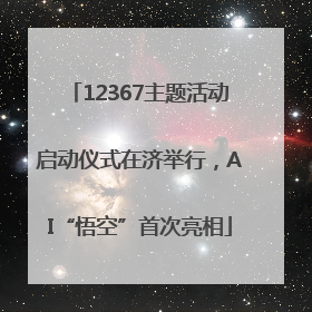 12367主题活动启动仪式在济举行，AI“悟空”首次亮相