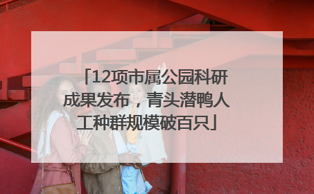 12项市属公园科研成果发布，青头潜鸭人工种群规模破百只