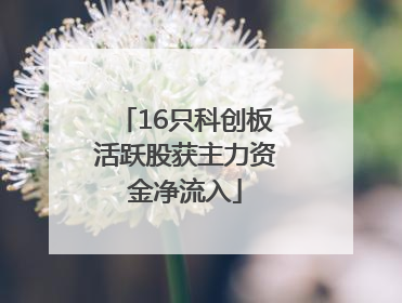 16只科创板活跃股获主力资金净流入