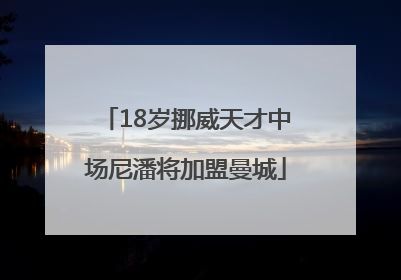 18岁挪威天才中场尼潘将加盟曼城