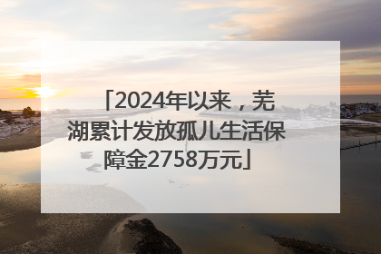 2024年以来，芜湖累计发放孤儿生活保障金2758万元