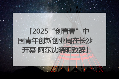 2025“创青春”中国青年创新创业周在长沙开幕 阿东沈晓明致辞