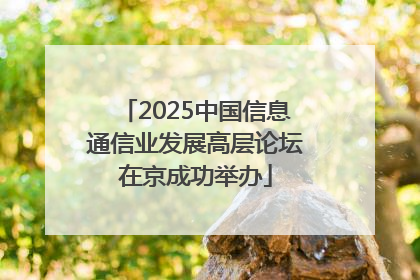 2025中国信息通信业发展高层论坛在京成功举办