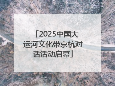 2025中国大运河文化带京杭对话活动启幕
