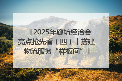 2025年廊坊经洽会亮点抢先看（四）丨搭建物流服务“样板间”