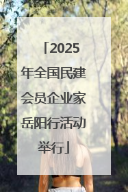2025年全国民建会员企业家岳阳行活动举行