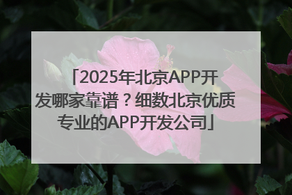 2025年北京APP开发哪家靠谱？细数北京优质专业的APP开发公司