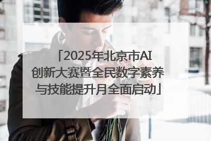2025年北京市AI创新大赛暨全民数字素养与技能提升月全面启动