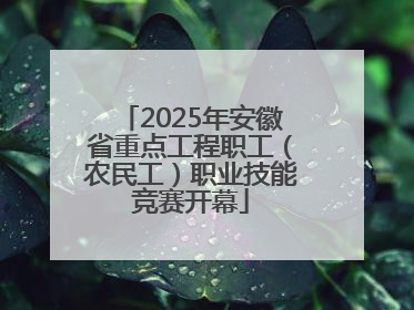 2025年安徽省重点工程职工（农民工）职业技能竞赛开幕