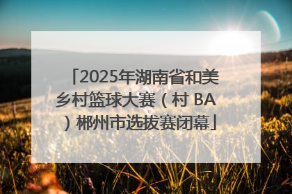 2025年湖南省和美乡村篮球大赛（村 BA）郴州市选拔赛闭幕