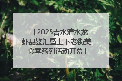 2025吉水清水龙虾品鉴汇暨上下老街美食季系列活动开幕