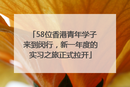 58位香港青年学子来到闵行，新一年度的实习之旅正式拉开