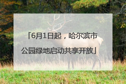 6月1日起，哈尔滨市公园绿地启动共享开放