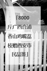 8000斤广西合浦香山鸡嘴荔枝赠西安市民品鉴