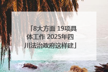 8大方面 19项具体工作 2025年四川法治政府这样建