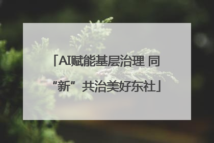 AI赋能基层治理 同“新”共治美好东社