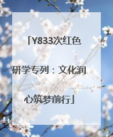 Y833次红色研学专列：文化润心筑梦前行
